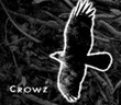 Crowz (Unofficial)