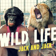 Wild Life [Single]