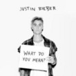 What Do You Mean? [Single]
