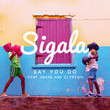 Say You Do [Single]