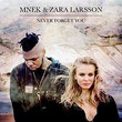 Never Forget You [Single]