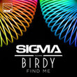 Find Me (Ft. Birdy) [Single]