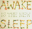 Awake Is The New Sleep (2005)