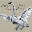 Seven Swans (2004)