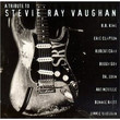 A Tribute To Stevie Ray Vaughan (1996)