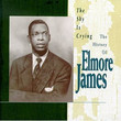 The Sky Is Crying : The History Of Elmore James (1993)