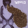 Santogold (2008)