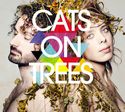 Cats On Tree