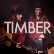 Timber (feat. Alex G) (Acoustic Version) [Single]