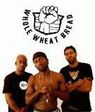 Wheat