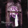 No Eternity [Maxi Single]
