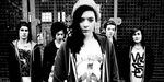 Marmozets