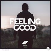 Paroles et traduction Avicii : Feeling Good (Ft. Audra Mae) - paroles ...