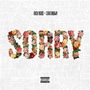 Sorry (Ft. Chris Brown)