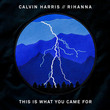 This Is What You Came For (Ft. Rihanna)