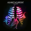 In Our Bones