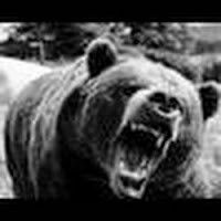 yanours88