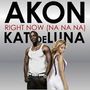 Right Now (Na Na Na) (akon Remix)