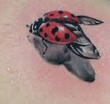 ☠ Mini tatouages de vos artistes ★