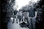 Cynic