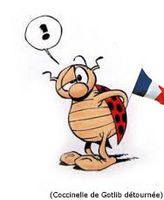 🎺Si même la fanfare interarmées s'y met!!