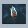 Nobody Compares to You [Single]