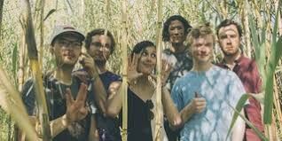 Pinegrove