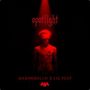 Spotlight (& Marshmello)