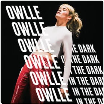Paroles et traduction Owlle : In The Dark - paroles de chanson