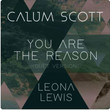 You Are the Reason (Duet Version) [Single]