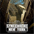 Synecdoche New York