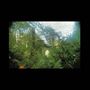 Epic Garden Music