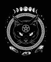 Anæ