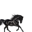 Old Town Road [Single]