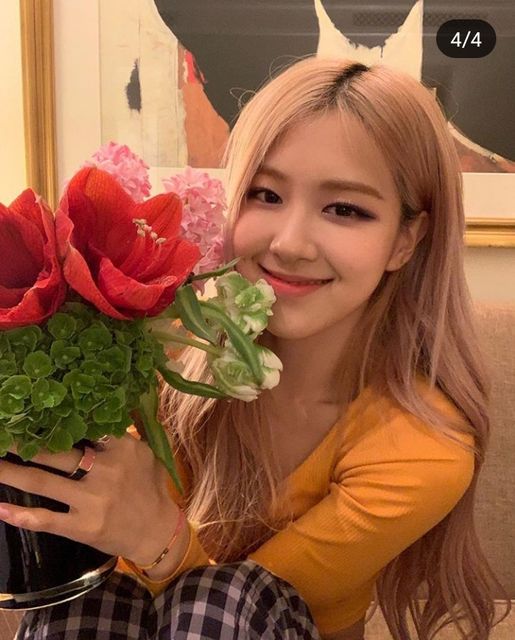 Rosé