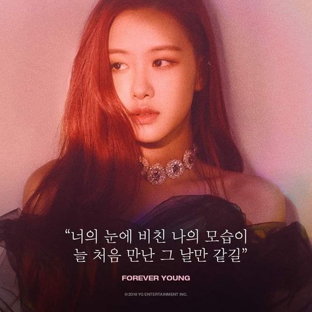 Rosé