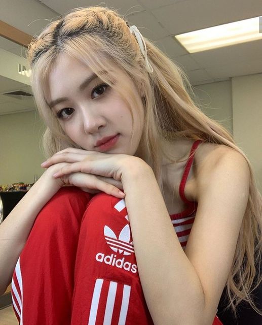 Rosé