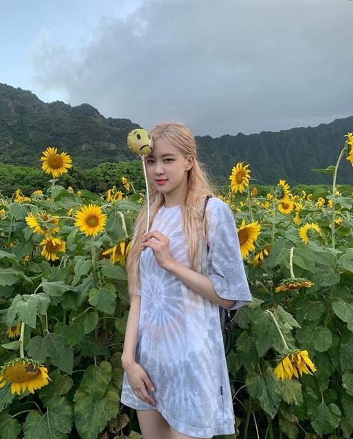 Rosé
