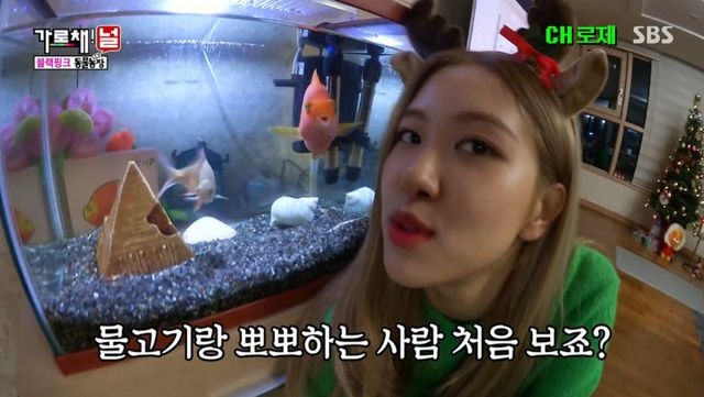 Rosé