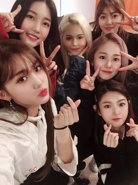 Everglow