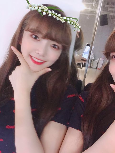 Everglow