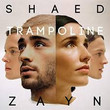 Trampoline (Remix) [Single]
