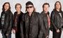 Honeymoon Suite