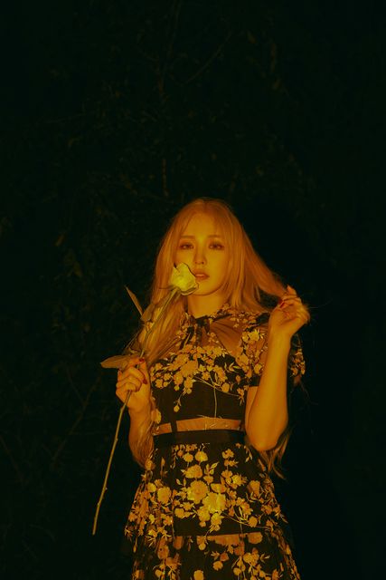 Red Velvet