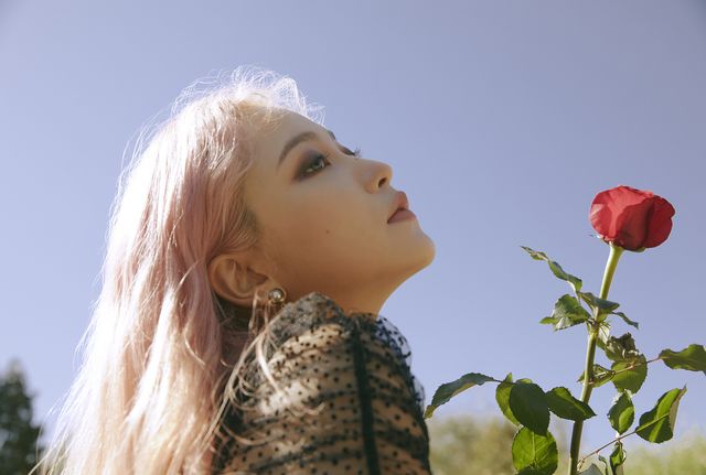 Red Velvet