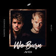 Faster Than Light (We Burn) (Ft. Sandro Cavazza)