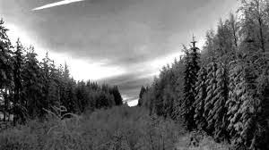 Paysage d'Hiver