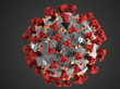 Coronavirus Rhapsody