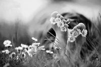 Benedicte Supper
