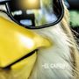 Shut Up Chicken (Radio Edit)  [Single]